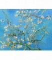 Almendro en flor (van Gogh)